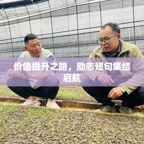 价值提升之路，励志短句集结启航