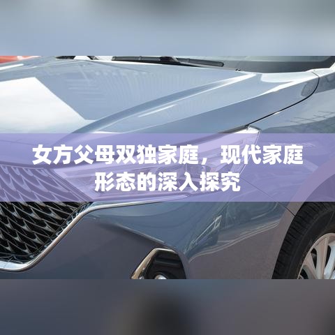 女方父母双独家庭,现代家庭形态的深入探究