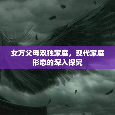 女方父母双独家庭,现代家庭形态的深入探究