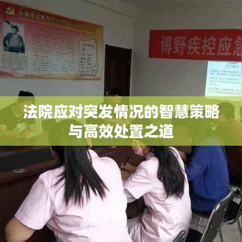 法院应对突发情况的智慧策略与高效处置之道