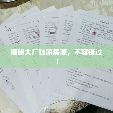 揭秘大厂独家房源，不容错过！