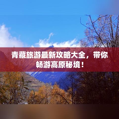 老版本飞信,综合评估解析说明-Ultra_v6.415