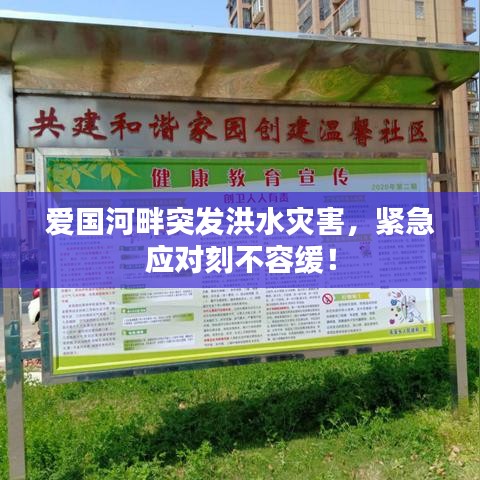 爱国河畔突发洪水灾害,紧急应对刻不容缓!