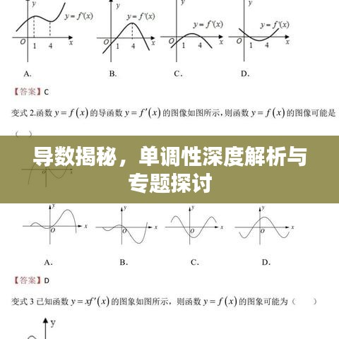 导数揭秘，单调性深度解析与专题探讨