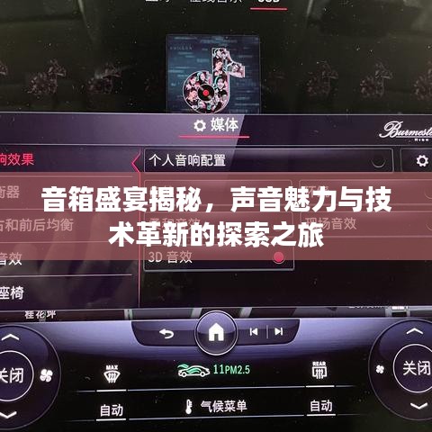 音箱盛宴揭秘,声音魅力与技术革新的探索之旅