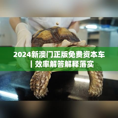 2024新澳门正版免费资本车|效率解答解释落实