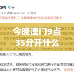 今晚澳门9点35分开什么｜数据解读说明