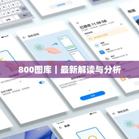 800图库｜最新解读与分析