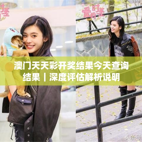 澳门天天彩开奖结果今天查询结果｜深度评估解析说明