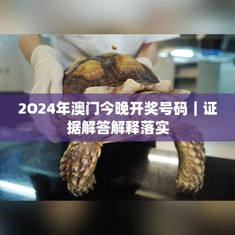 2O24年澳门今晚开奖号码|证据解答解释落实