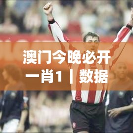 澳门今晚必开一肖1|数据解答落实