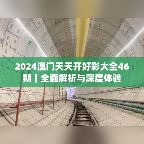 2024澳门天天开好彩大全46期｜全面解析与深度体验
