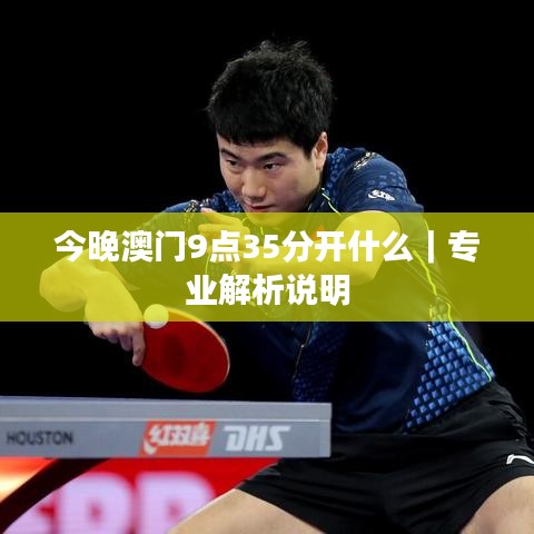 今晚澳门9点35分开什么|专业解析说明