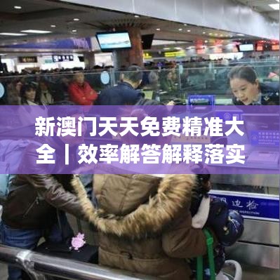 新澳门天天免费精准大全｜效率解答解释落实