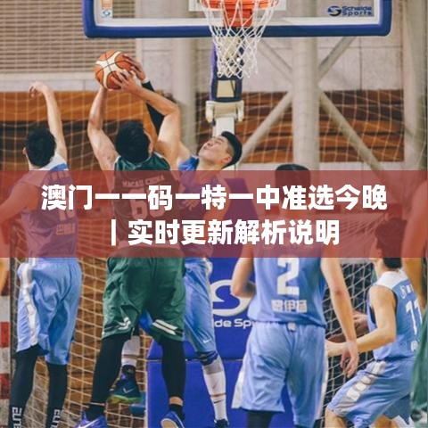 澳门一一码一特一中准选今晚|实时更新解析说明