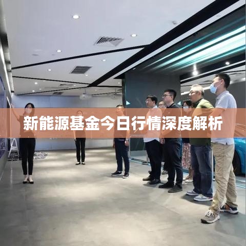 新能源基金今日行情深度解析