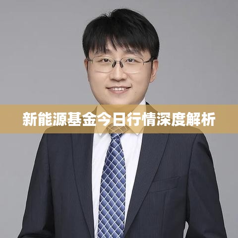 新能源基金今日行情深度解析