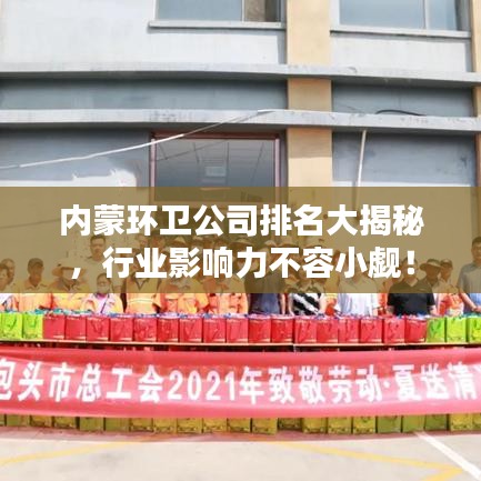 内蒙环卫公司排名大揭秘，行业影响力不容小觑！
