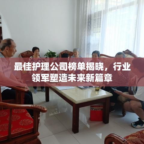 最佳护理公司榜单揭晓，行业领军塑造未来新篇章