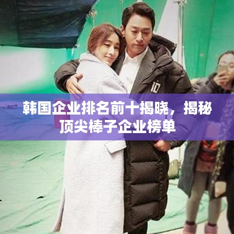 韩国企业排名前十揭晓，揭秘顶尖棒子企业榜单