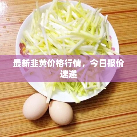 最新韭黄价格行情，今日报价速递