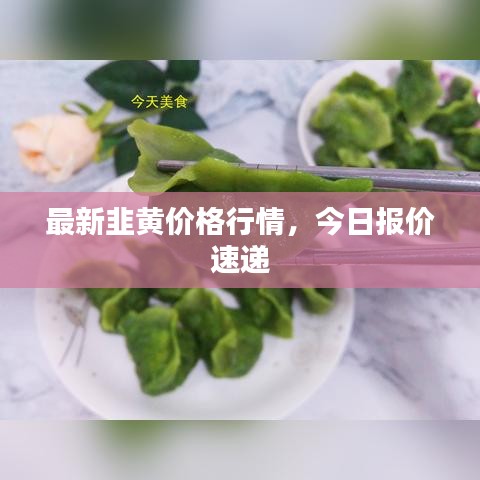 最新韭黄价格行情,今日报价速递