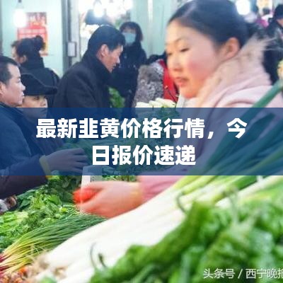 最新韭黄价格行情,今日报价速递