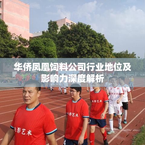 华侨凤凰饲料公司行业地位及影响力深度解析