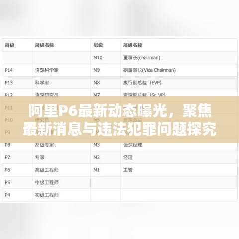 阿里P6最新动态曝光,聚焦最新消息与违法犯罪问题探究