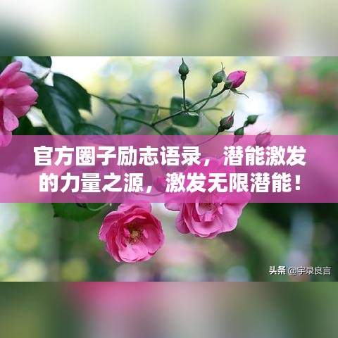 官方圈子励志语录，潜能激发的力量之源，激发无限潜能！