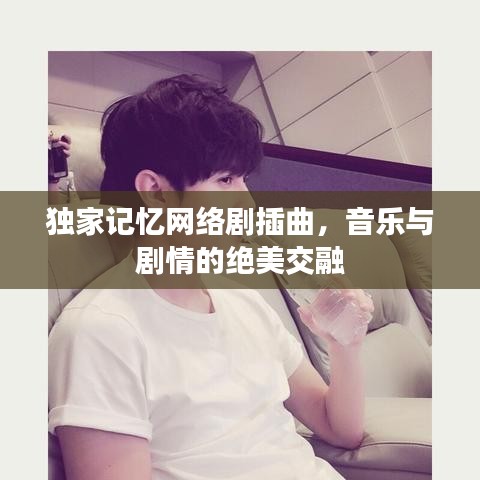 独家记忆网络剧插曲,音乐与剧情的绝美交融