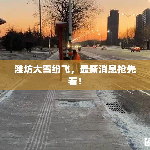 潍坊大雪纷飞,最新消息抢先看!