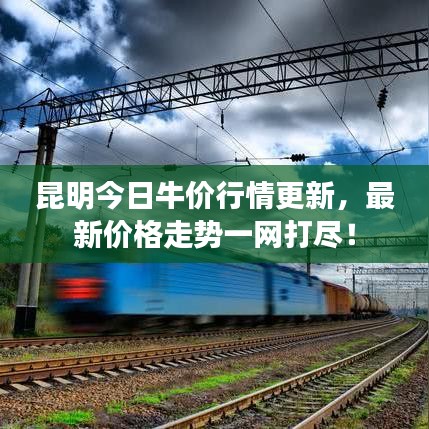 昆明今日牛价行情更新,最新价格走势一网打尽!