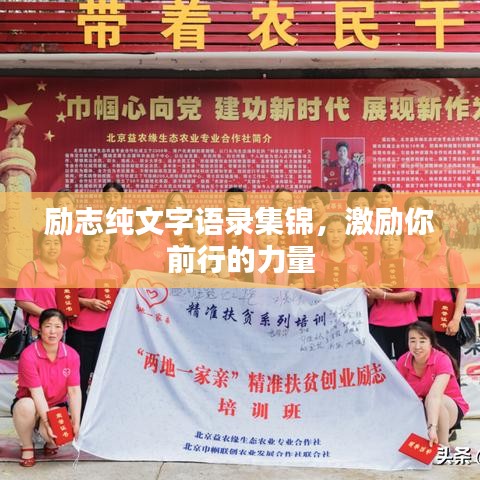 飞箭如蝗 第3页