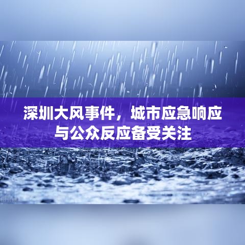 深圳大风事件,城市应急响应与公众反应备受关注