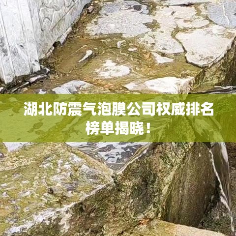湖北防震气泡膜公司权威排名榜单揭晓！