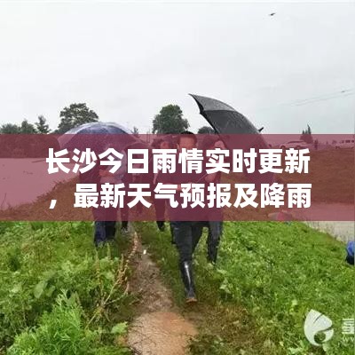 长沙今日雨情实时更新，最新天气预报及降雨情况汇总