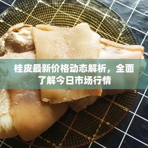 桂皮最新价格动态解析，全面了解今日市场行情