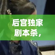 后宫独家剧本杀，探秘宫廷阴谋与智慧的神秘之旅