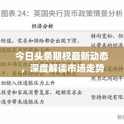今日头条期权最新动态，深度解读市场走势