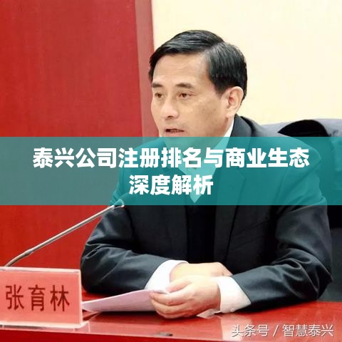泰兴公司注册排名与商业生态深度解析
