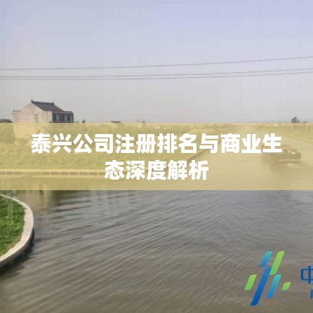 泰兴公司注册排名与商业生态深度解析