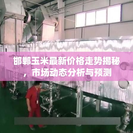 邯郸玉米最新价格走势揭秘，市场动态分析与预测