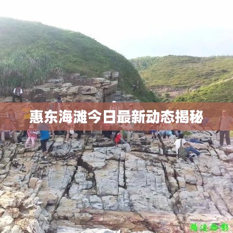 惠东海滩今日最新动态揭秘