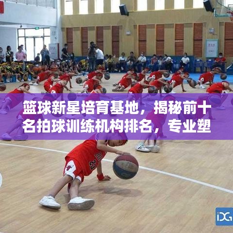 篮球新星培育基地，揭秘前十名拍球训练机构排名，专业塑造篮球未来之星