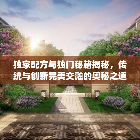 独家配方与独门秘籍揭秘，传统与创新完美交融的奥秘之道