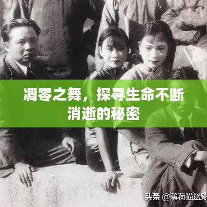 凋零之舞，探寻生命不断消逝的秘密