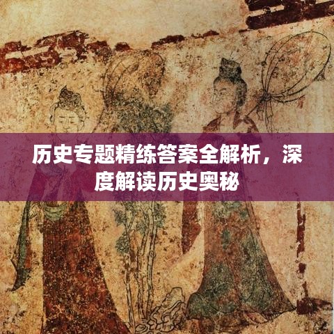 历史专题精练答案全解析,深度解读历史奥秘