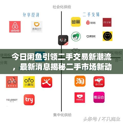 今日闲鱼引领二手交易新潮流，最新消息揭秘二手市场新动态