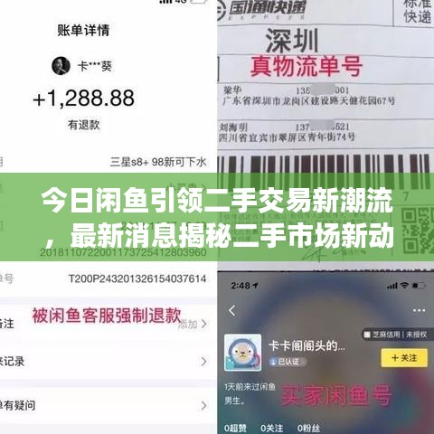 今日闲鱼引领二手交易新潮流,最新消息揭秘二手市场新动态